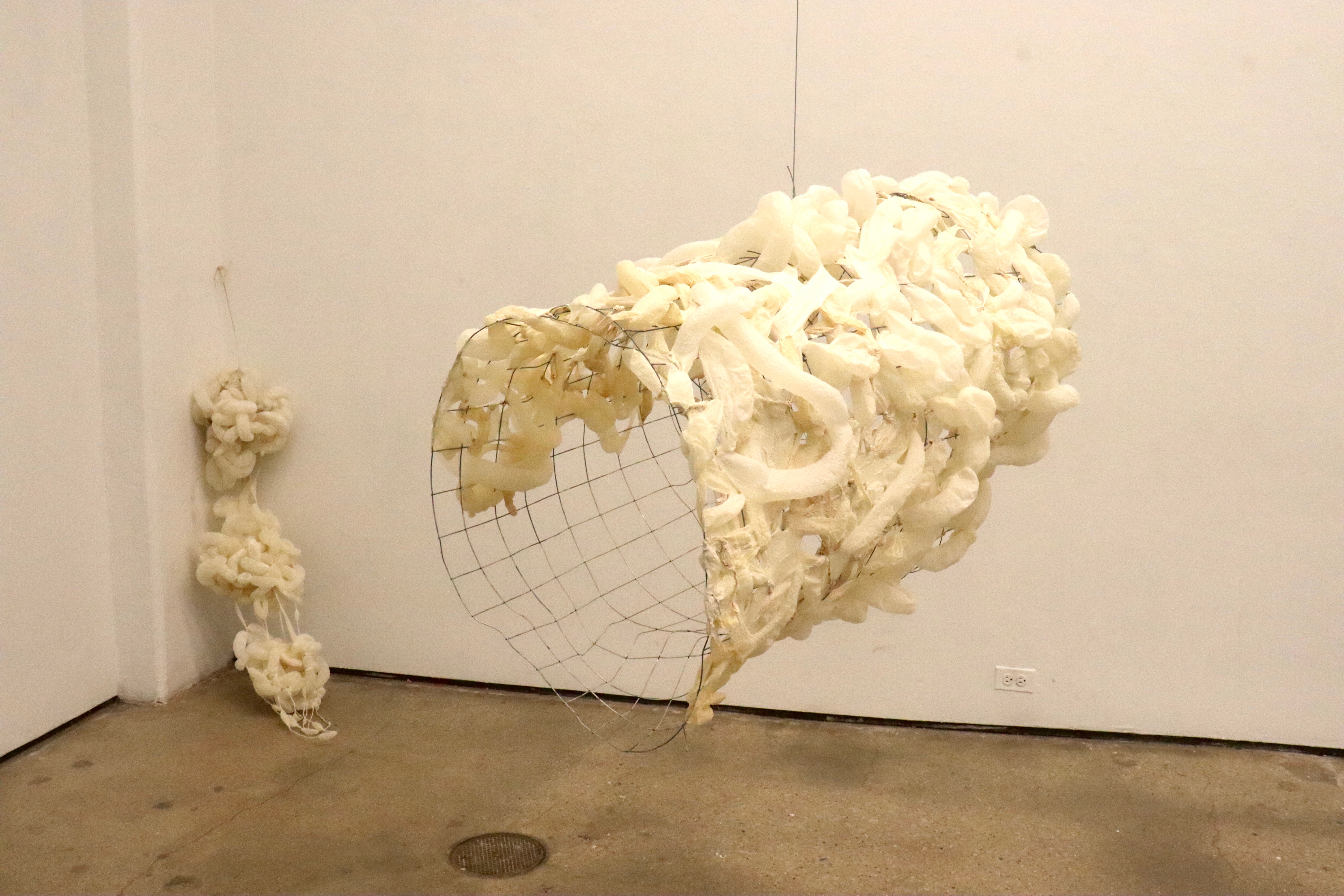 Held at the Edge sculpture by oneg - hog casings and wire mesh exploring tension between control and resistance